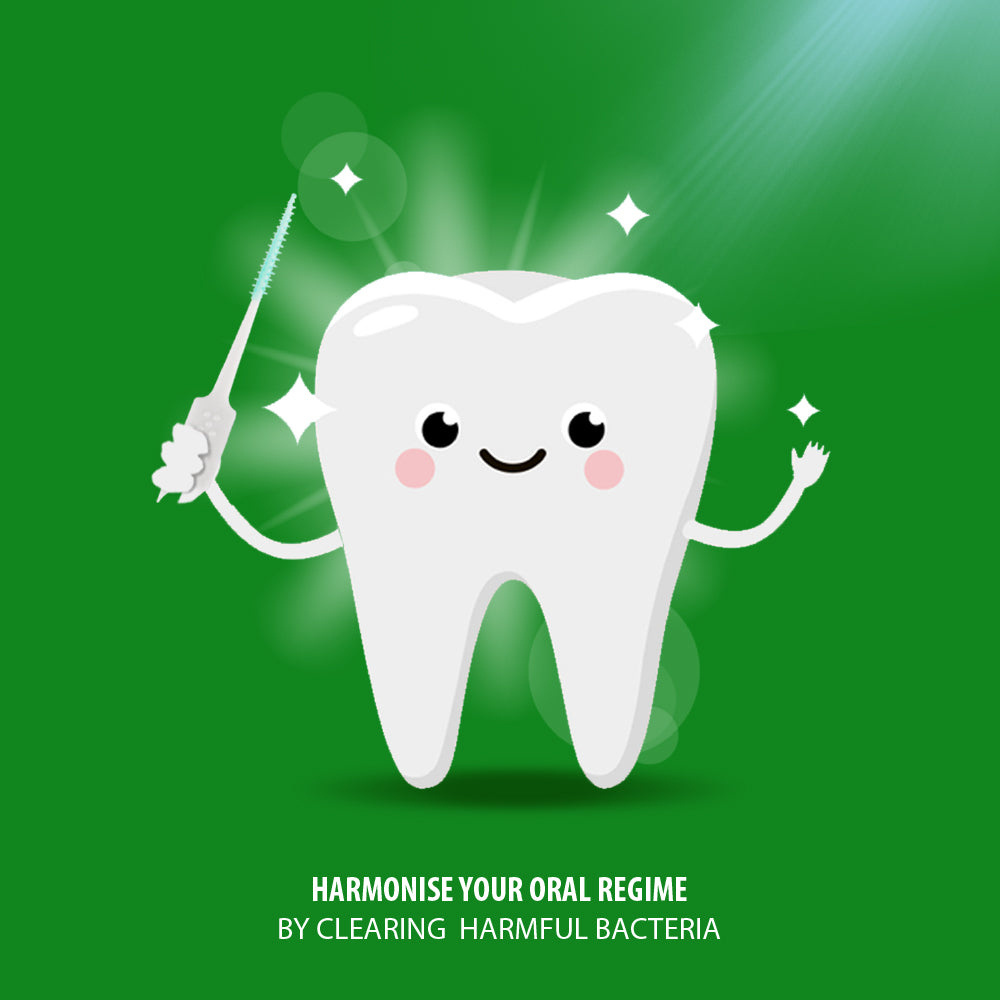 Bentodent Biodegradable Wirefree Interdental Brushes / Toothpick - 30 Qty - Indian Dental Organization