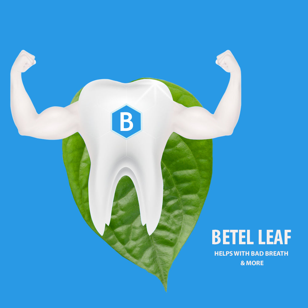 Bentodent Betel Leaf Organic Toothpaste - SLS Free - 100 gm - Indian Dental Organization