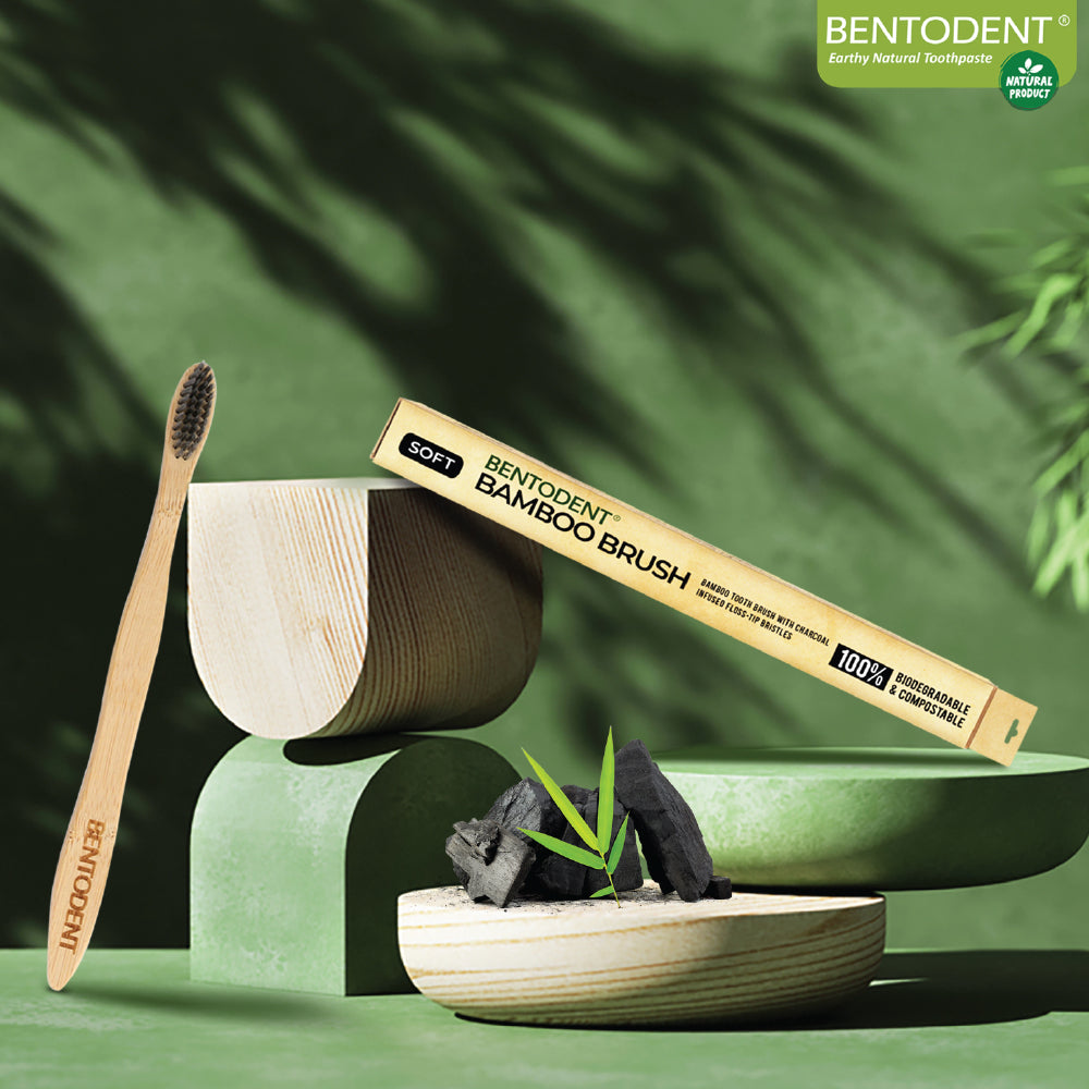 Bentodent Bamboo Toothbrush (charcoal) - Teeth Whitening, Soft - Indian Dental Organization