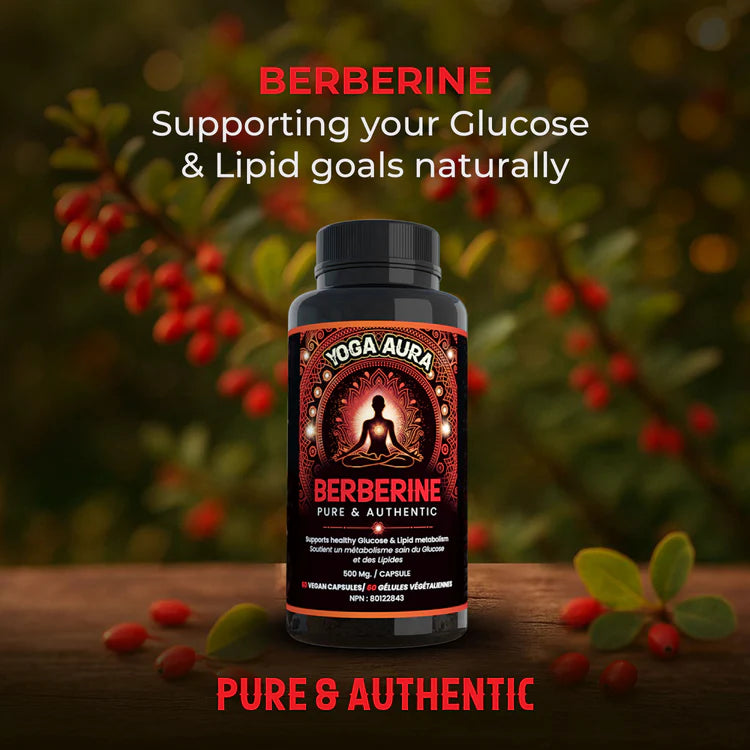 Yoga Aura 100% Pure Berberine – 500 mg of clinically studied berberine HCl, Lab tested, non-GMO & vegan | Health Canada