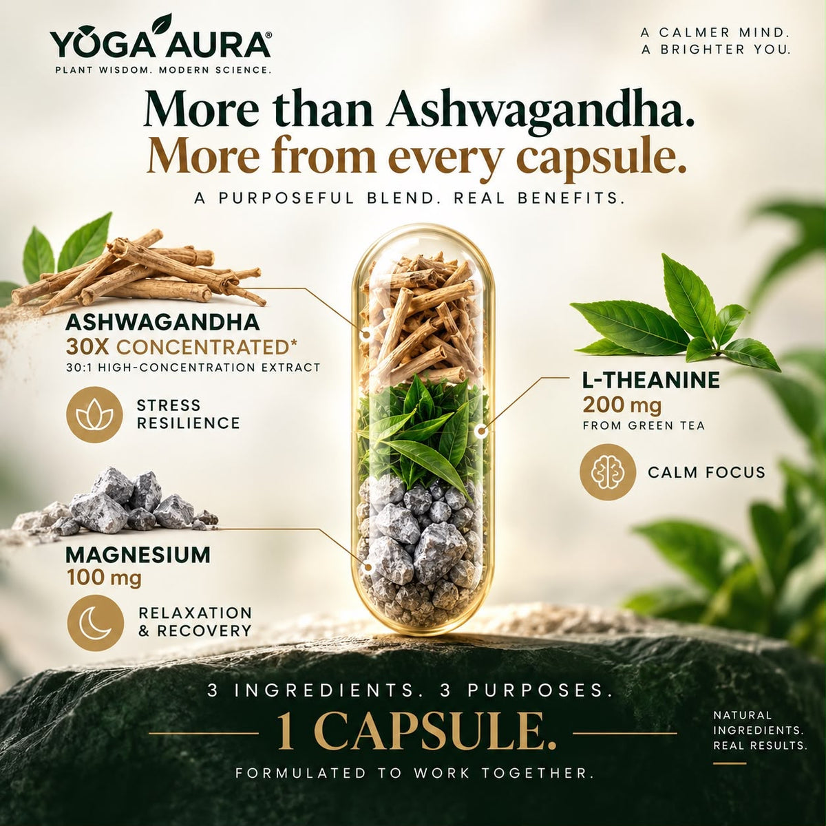 Yoga Aura Ashwagandha + L-Theanine + Magnesium Tri-Formula Capsules | Calm Focus & Relaxation Support