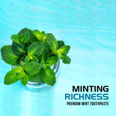 Bentodent Premium Mint Natural Toothpaste (Twin Pack) - 100 gm each - Indian Dental Organization
