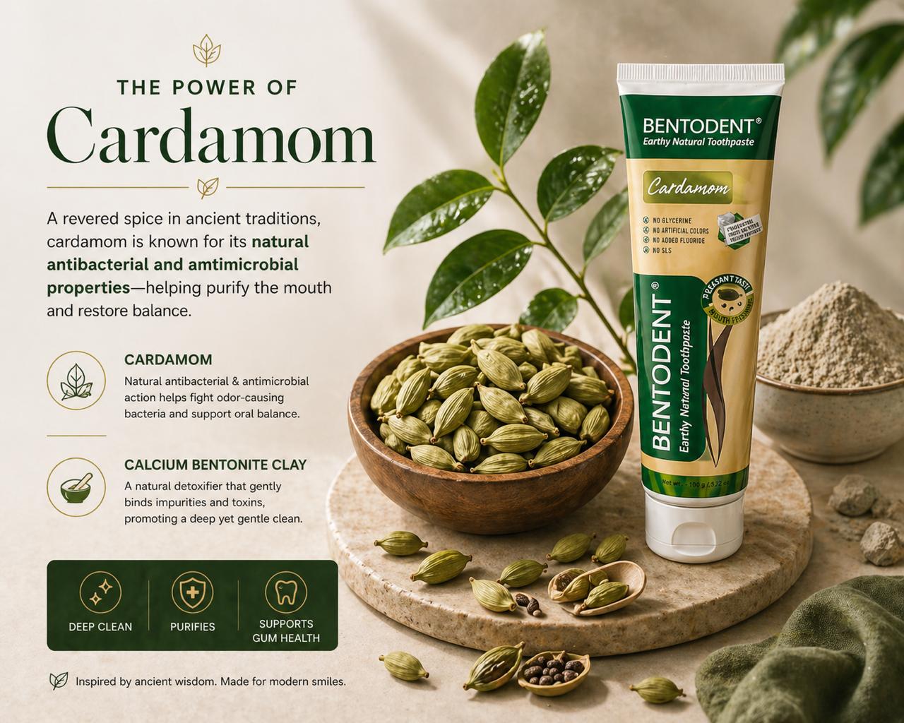 Bentodent Cardamom Toothpaste (Twin Pack) - 100 gm each