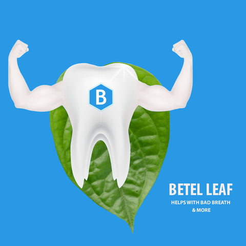 Bentodent Betel Leaf Toothpaste (Twin Pack) - 100 gm each - Indian Dental Organization