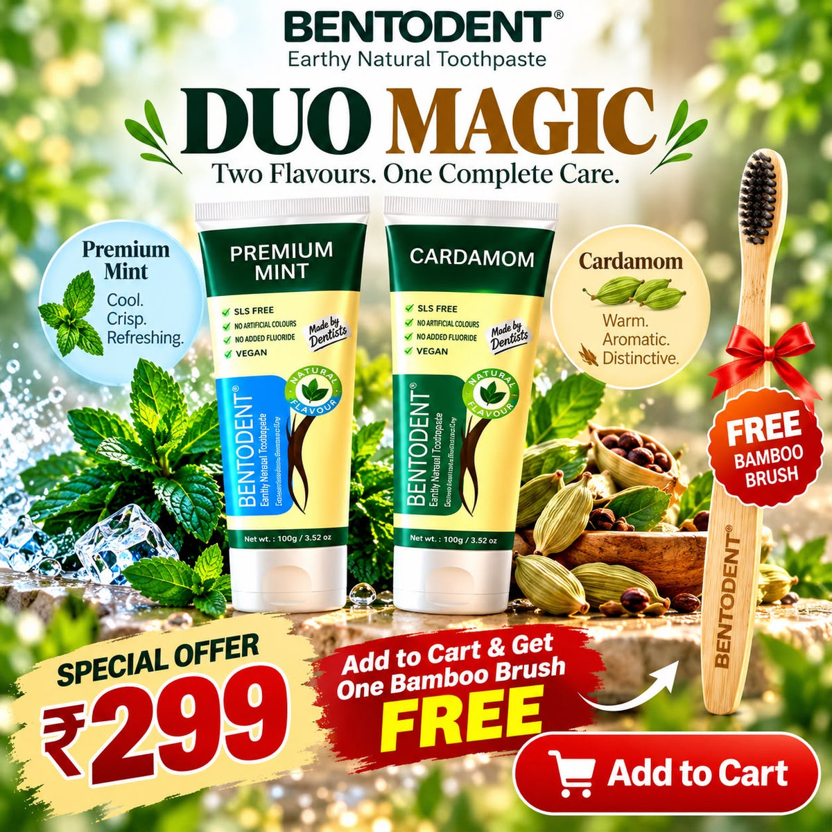 Bentodent Toothpaste - Premium Mint & Cardamom Pack - 100 gm each
