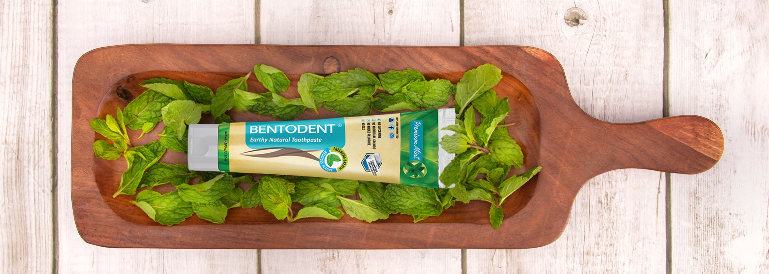Bentodent Premium Mint Herbal Toothpaste - SLS Free , Natural & Fluori ...